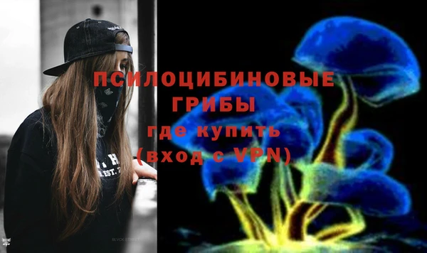 spice Алексин